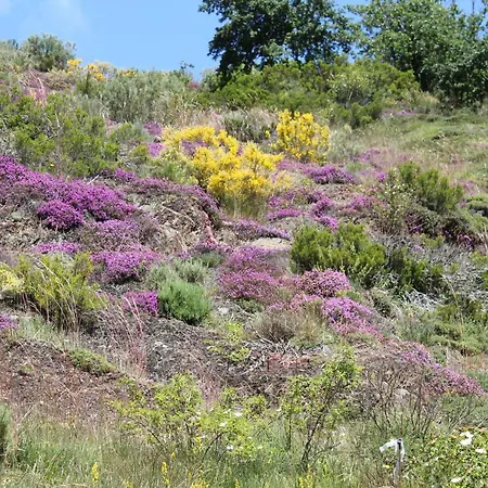 Domek alpejski La Casa Del Diezmo De La Montana Palentina *