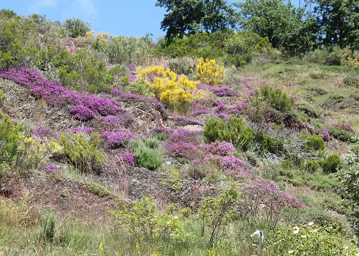Alpesi faház La Casa Del Diezmo De La Montana Palentina *